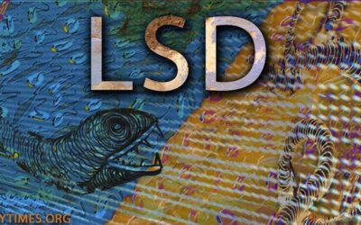 LSD: Psiquedélico, Alucinógeno